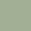 Pale Green _ RAL6021
