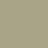 Yellow Grey _ RAL7034